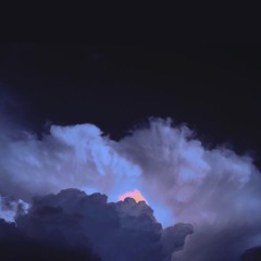 forever favorites♡