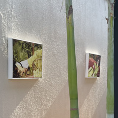 little bit - lykke li (remix)