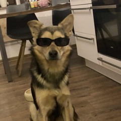 Come on, trance with me [Schmollx - Trance-Set]