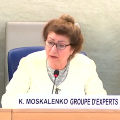 Arbitrary detentions a 'permanent fixture' of Belarus repression, independent expert maintains