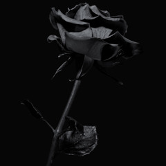 narcotics (feat. ND)