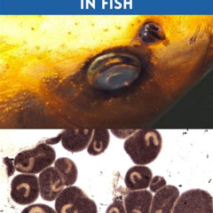Best Cloudy Eye Fish Treatment Salt Water Reviews