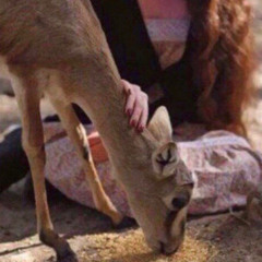 والله انك خـيرة المكسَب.. بغـزو هليّل