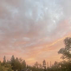 Sum1 Else 👤 (Prod. Blemeego!)