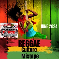 MAGNUM FORCE REGGEA MIX 2024