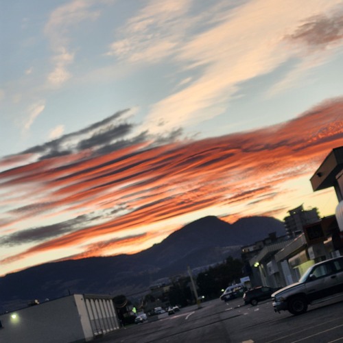 penny for the wise men