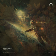 CF Premiere: Metapattern - Fork In The Road [Prophet Recordings]