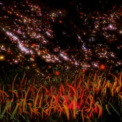 the heart cannot be wise