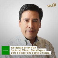 Alfredo Zaconeta: Necesidad de un Plan Sectorial Minero Metalúrgico para delinear una política