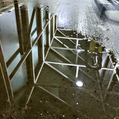 when you get right down to it, this far inside the head it aaaall looks the same