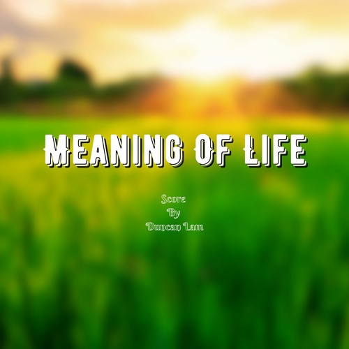Duncan Lam - Meaning of Life (My first Official Hollywood Type Score)