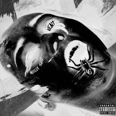 MOLLY SAID VENT (00SIXX)