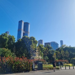 The CIty