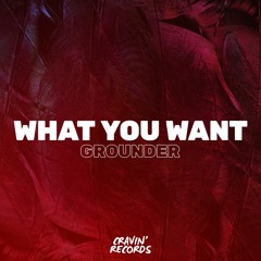 Grounder - What You Want (Radio Mix)