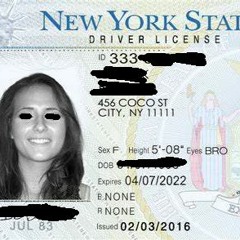 PALE$TRINA - NEW PRO