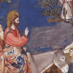 Meditation for the Feast of Palm Sunday
