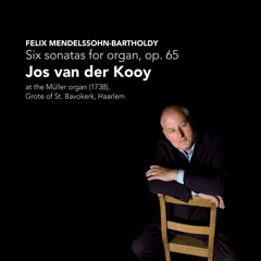 Six Sonatas for Organ, Op. 65: Sonata No. 6 in D Minor, IV. Andante sostenuto