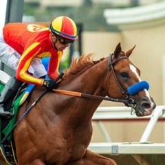 My Race Call Of The 2025 Best Pal Stakes At Del Mar Racetrack