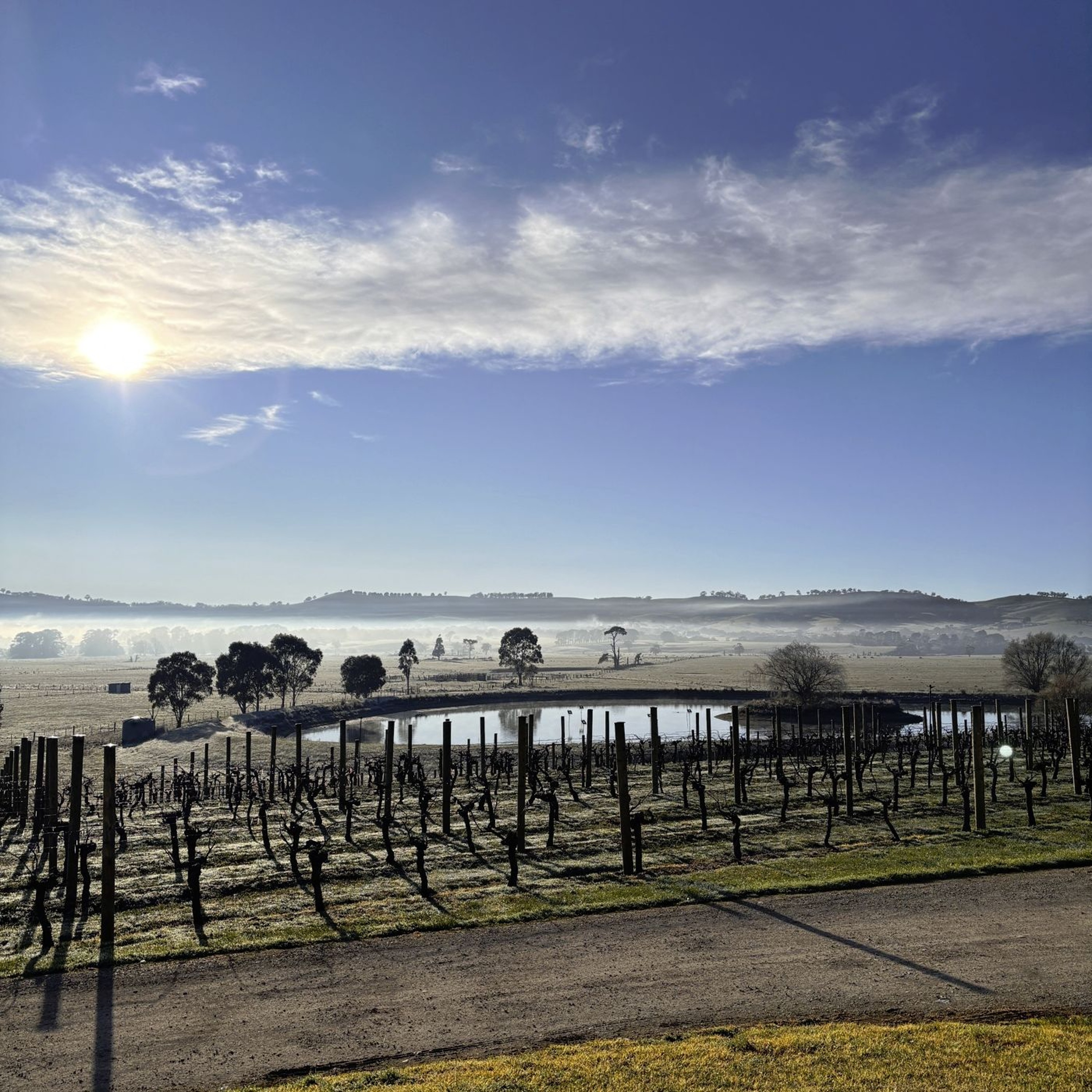 Macedon -Melbourne's boutique wine region worth a weekend away -Emily McAuliffe episode artwork
