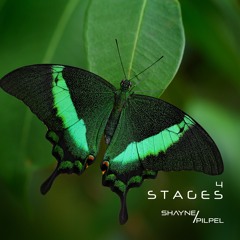STAGES 4