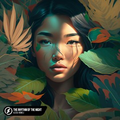 Alosa, Nomeli - The Rhythm Of The Night
