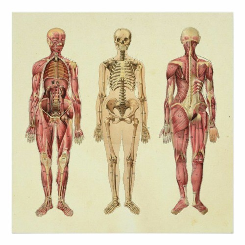 GUTS(prod.  Hiiigh10)