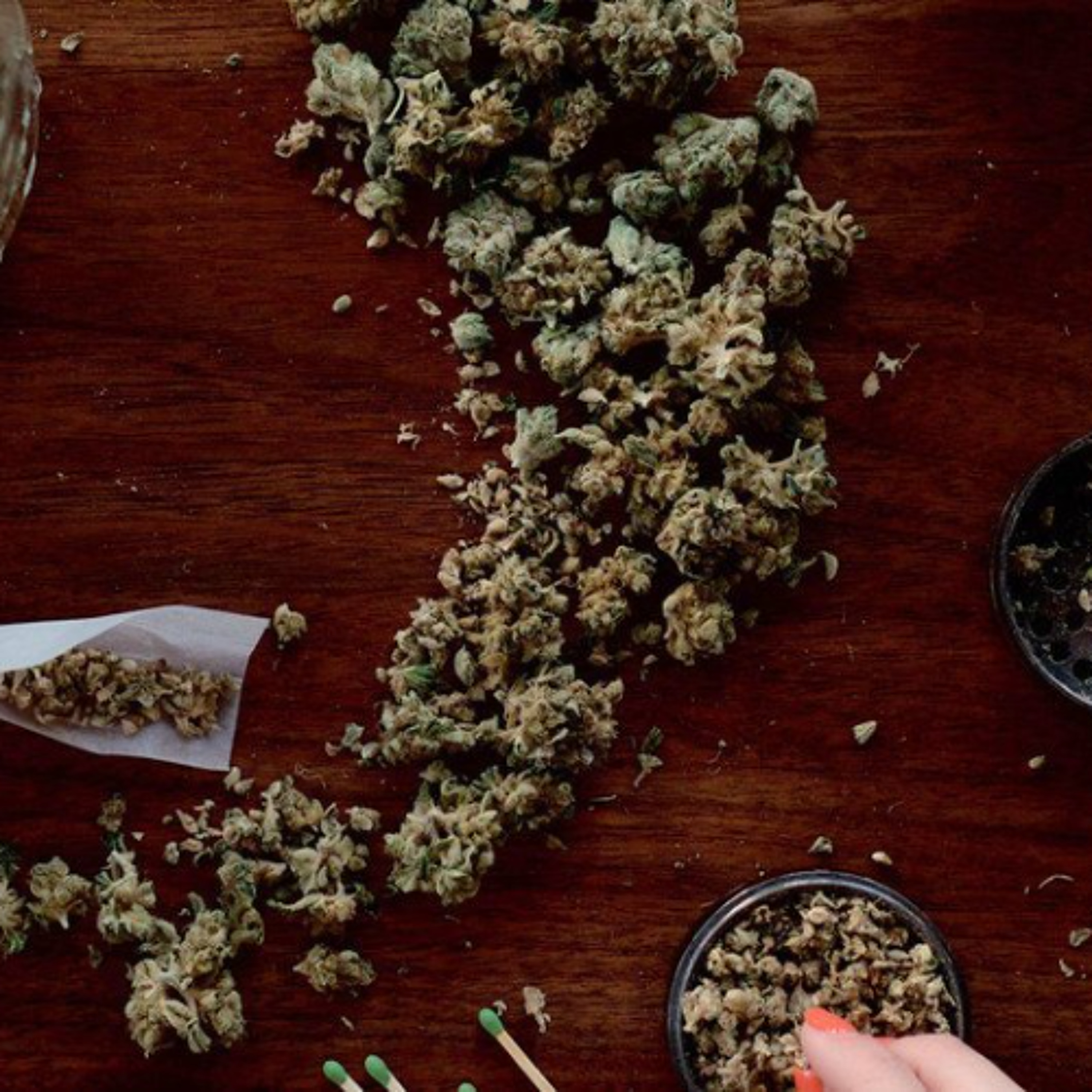 Relatório sobre drogas revela que cannabis está no topo da lista dos usuários episode artwork
