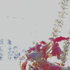 lost futures 020423