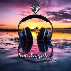 Baila Reggaeton ano 2014 By Lobo Djy