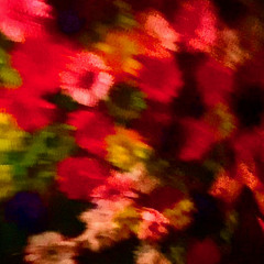 THIS HIGH MY FIRE (DANI REMIX)