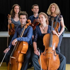 Schubert Quintette En Do Majeur Allegro Ma Non Troppo