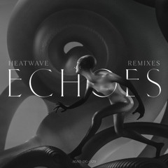 Heatwave - Echoes (Spktrm & OTO Remix)