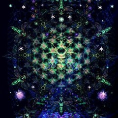 Fractal B