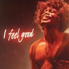 [PREVIEW] ''FEEL GOOD''  -  [JAMES BROWN] [WILL MARSHALL'S DEMO]