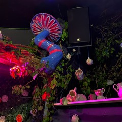 der Schmu - 🎭 Maskenball 2024 (Haus Lichtenstein, Tübingen)