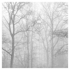 Improvisation_201225_Winter Mantras