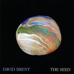 David Edward Brent - Never Get Old