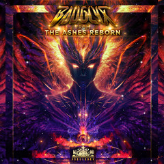 From the Ashes Reborn