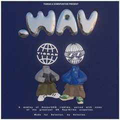 .WAV EP (Tigran x Domspunthis)