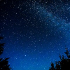 Night