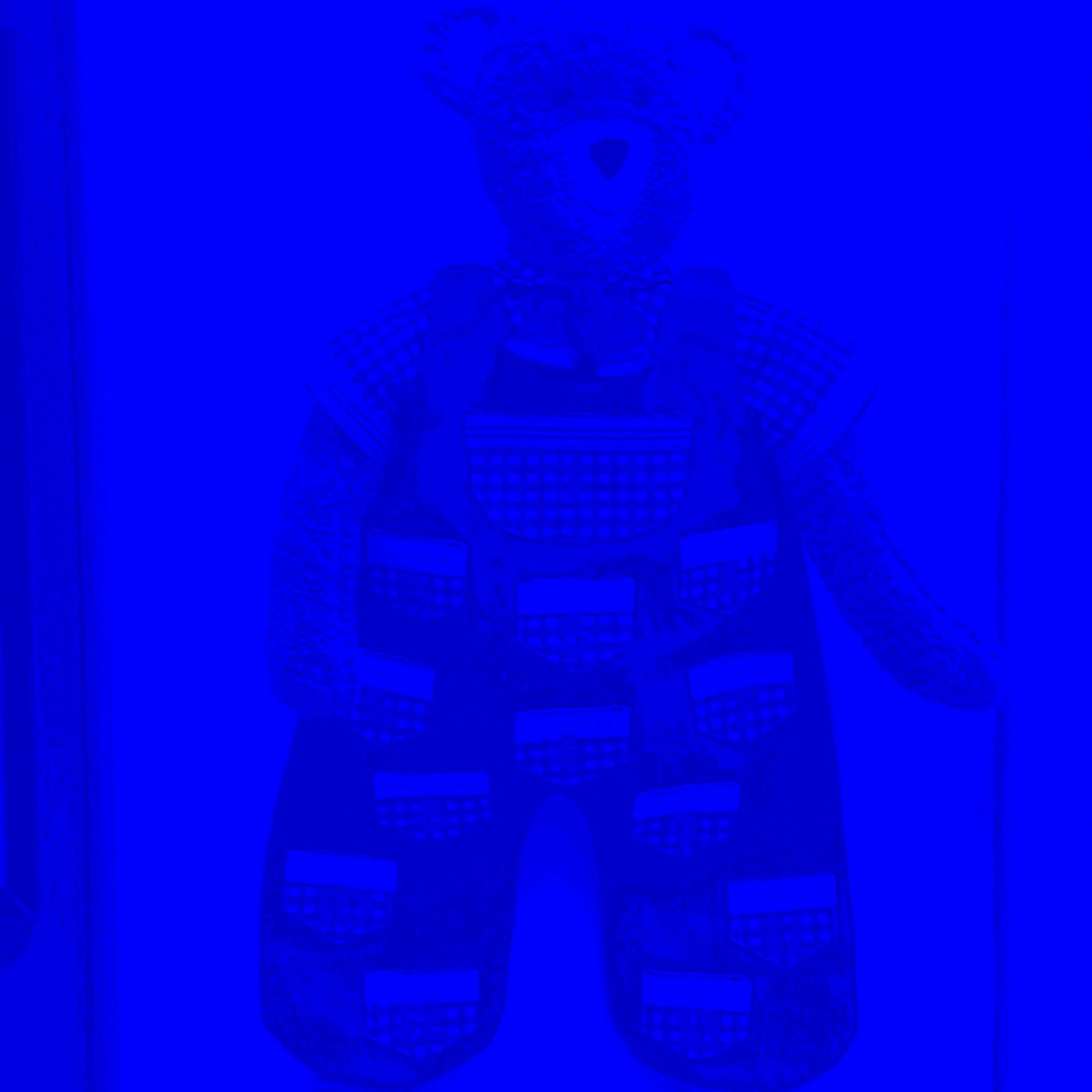 Teaganbear