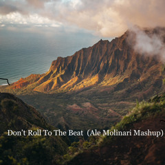 Ale Molinari Feat Sam Stray Wood Vs Joshwa - Don't Roll To The Beat Baby (Ale Molinari Mashup)