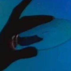 bonnie hook @ exxitworld NYE 25