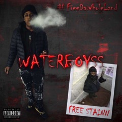 WaterBoyss
