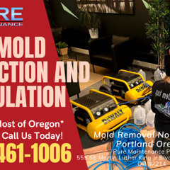 Mold Removal North Tabor Portland Oregon - Pure Maintenance Portland - 503-461-1006