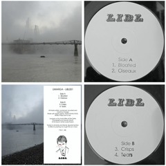 PREMIERE: UMARGA - Bloated [LiBL001]