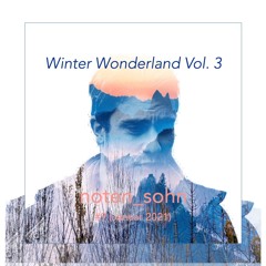 Winter Wonderland Vol. 3 (Januar 2021)