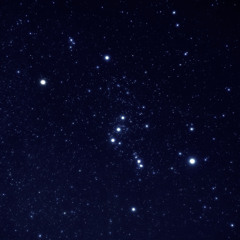 Orion - Lion Tristan