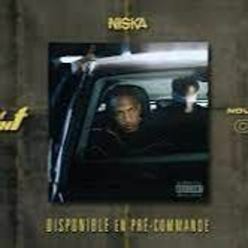 Niska - Le Monde Est Méchant / REMIX