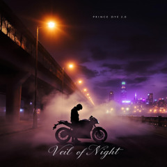Veil of Night